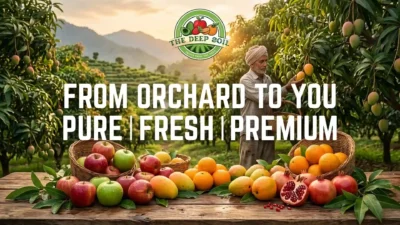 A farmer harvesting premium fresh fruits online from The Deep Soil orchards including apples, mangoes, and pomegranates.